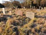 image of grave number 724333